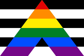 LGBTQIA+ Ally Flag